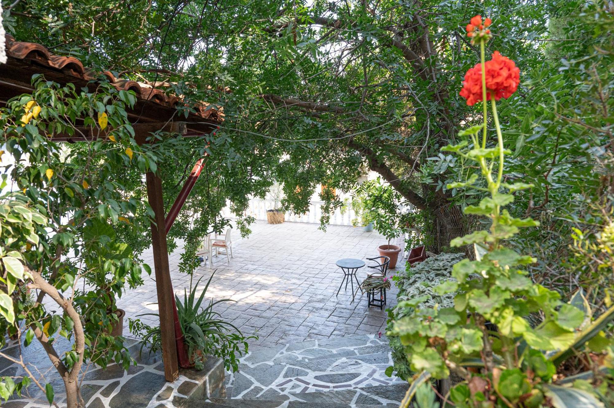 Lions 2 Studios & Apartments, Poros Island. Poros Town Exteriör bild